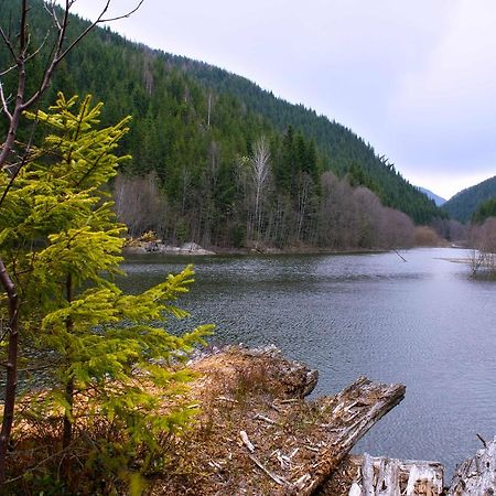 Dream Hostel Carpathians Rakhiv Bagian luar foto