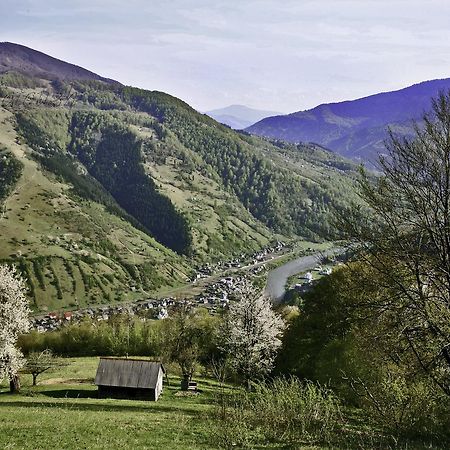 Dream Hostel Carpathians Rakhiv Bagian luar foto