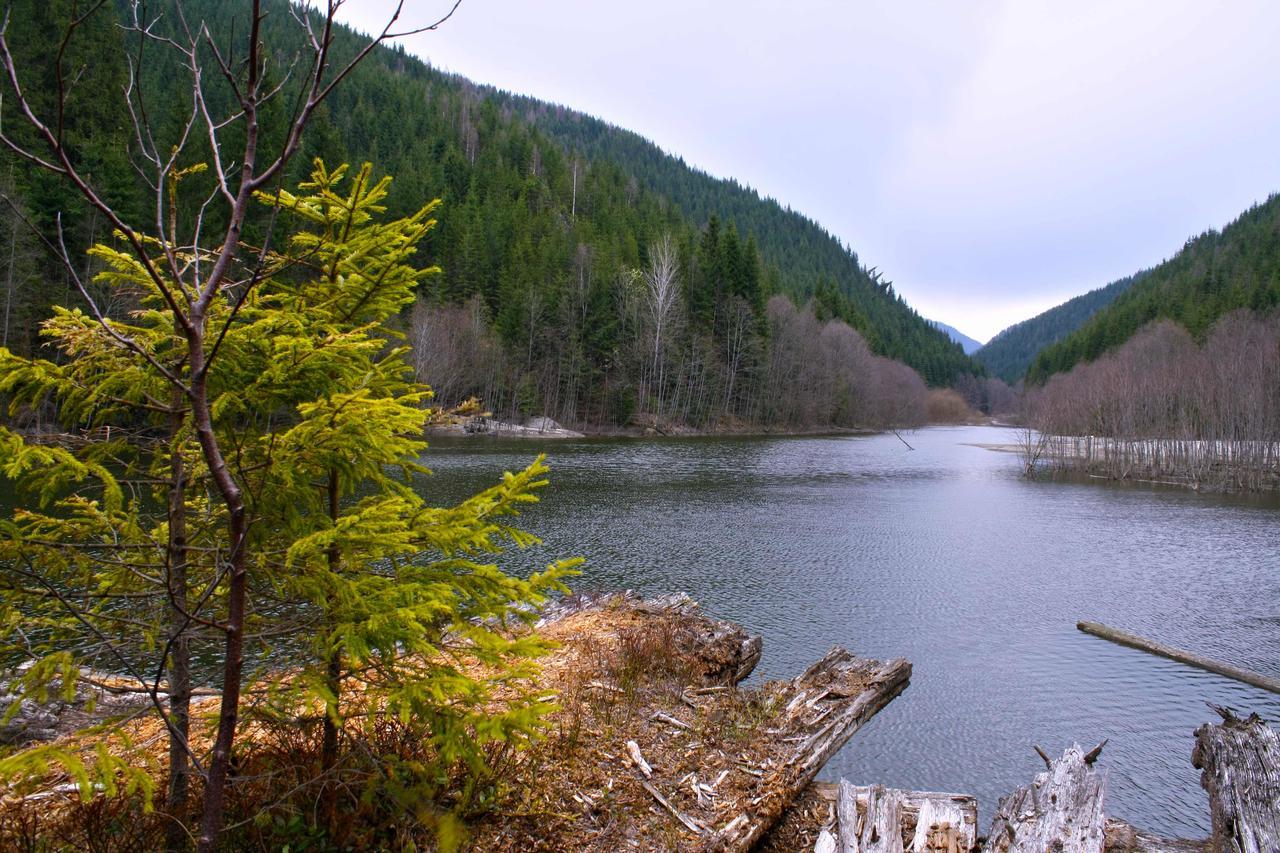 Dream Hostel Carpathians Rakhiv Bagian luar foto