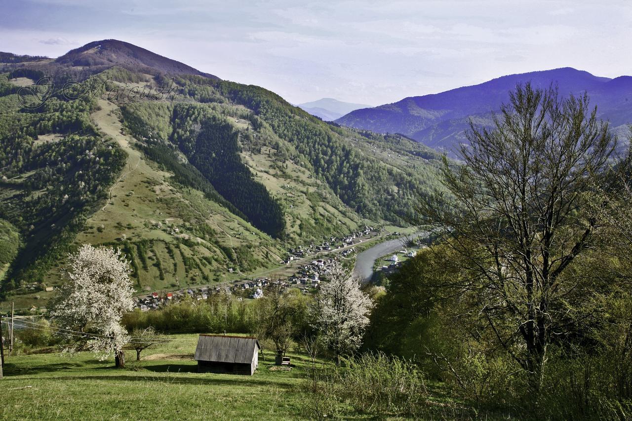 Dream Hostel Carpathians Rakhiv Bagian luar foto